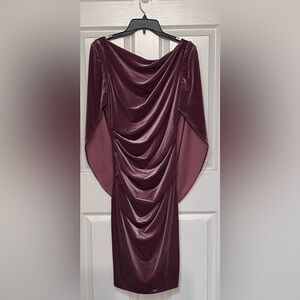 Betsy Adam Size 10 Rose Velvet Cape Dress